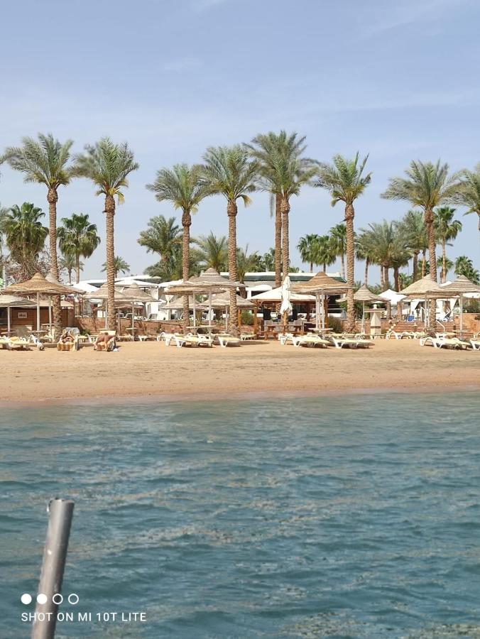 Seti Sharm Palm Beach Resort Families And Couples Only Buitenkant foto