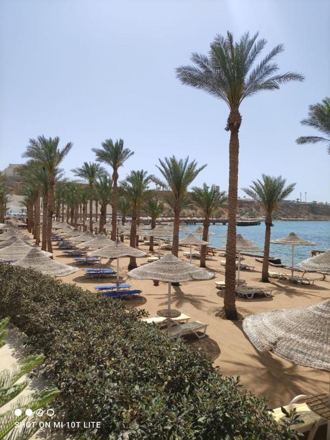 Seti Sharm Palm Beach Resort Families And Couples Only Buitenkant foto