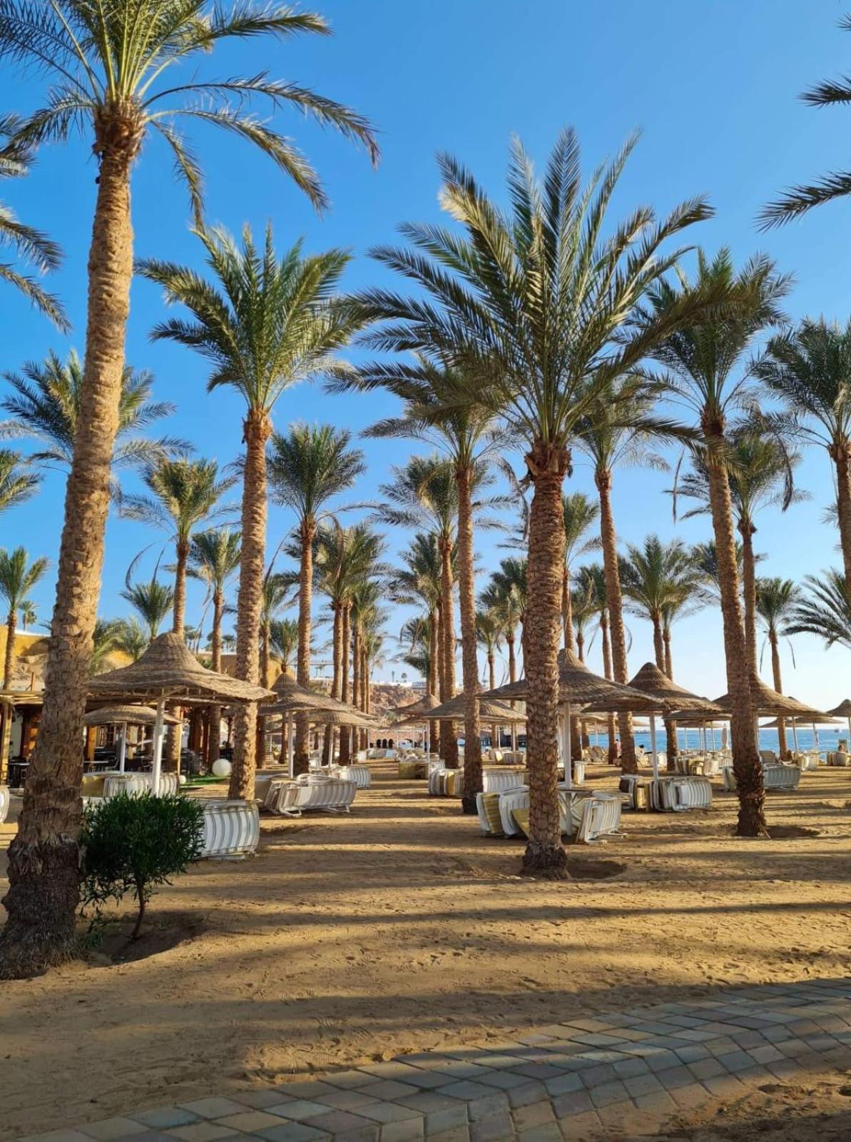 Seti Sharm Palm Beach Resort Families And Couples Only Buitenkant foto